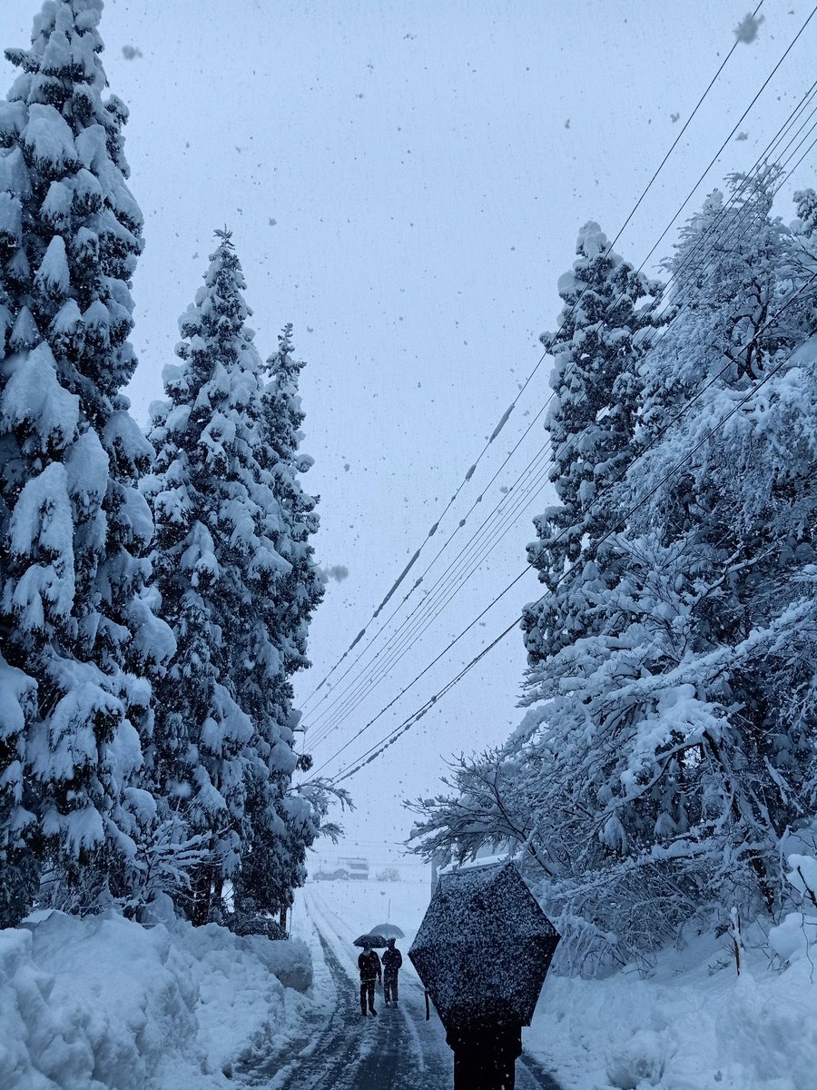 AlvarisV's tweet photo. Live a simple life❄️ https://t.co/dJtyYH6Hgk