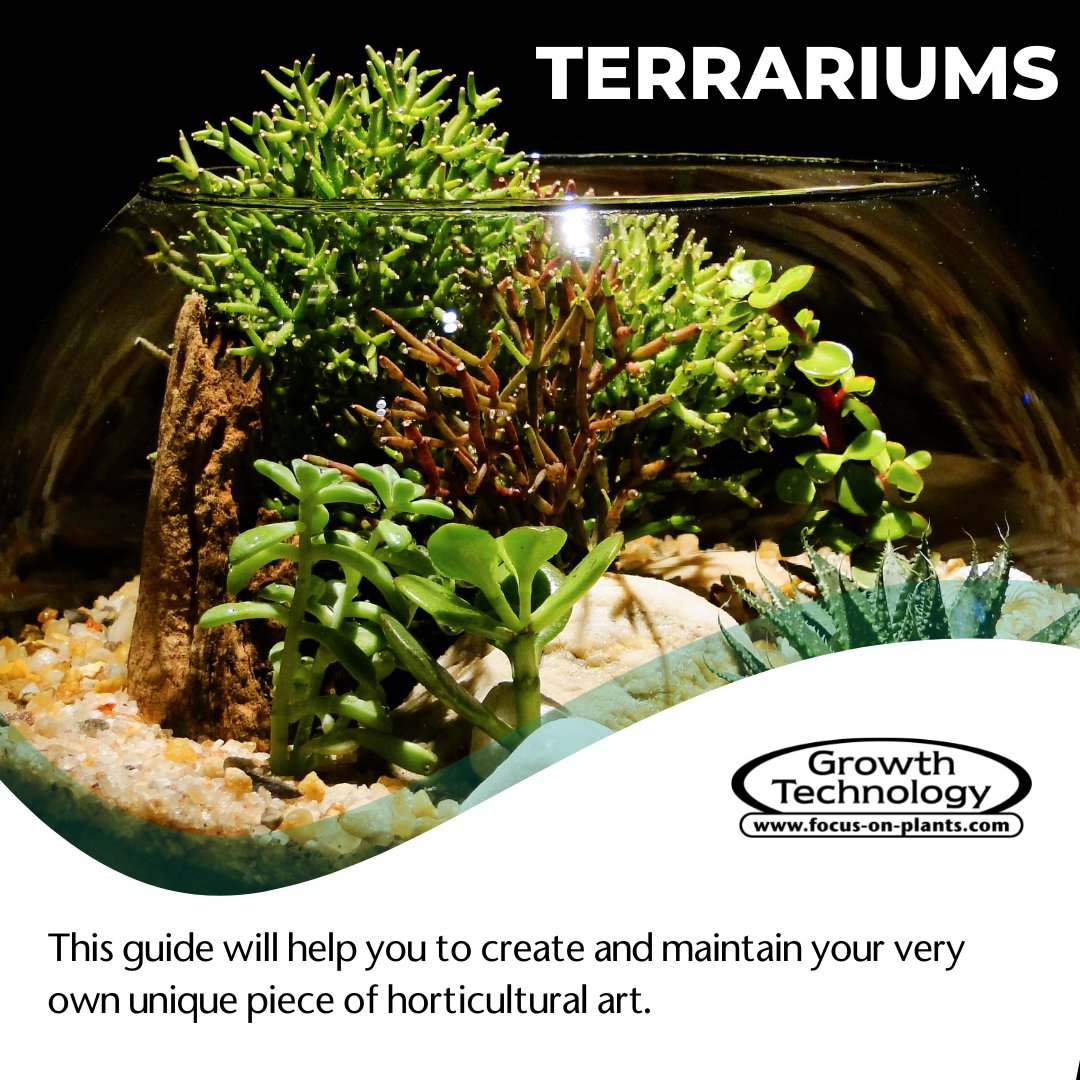 Focus On Plants tweet media