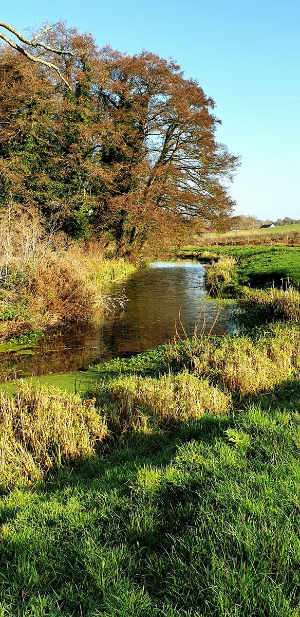mjhptcott's tweet image. Strolling along where dreams+memories float silently along like ripples in the water!...