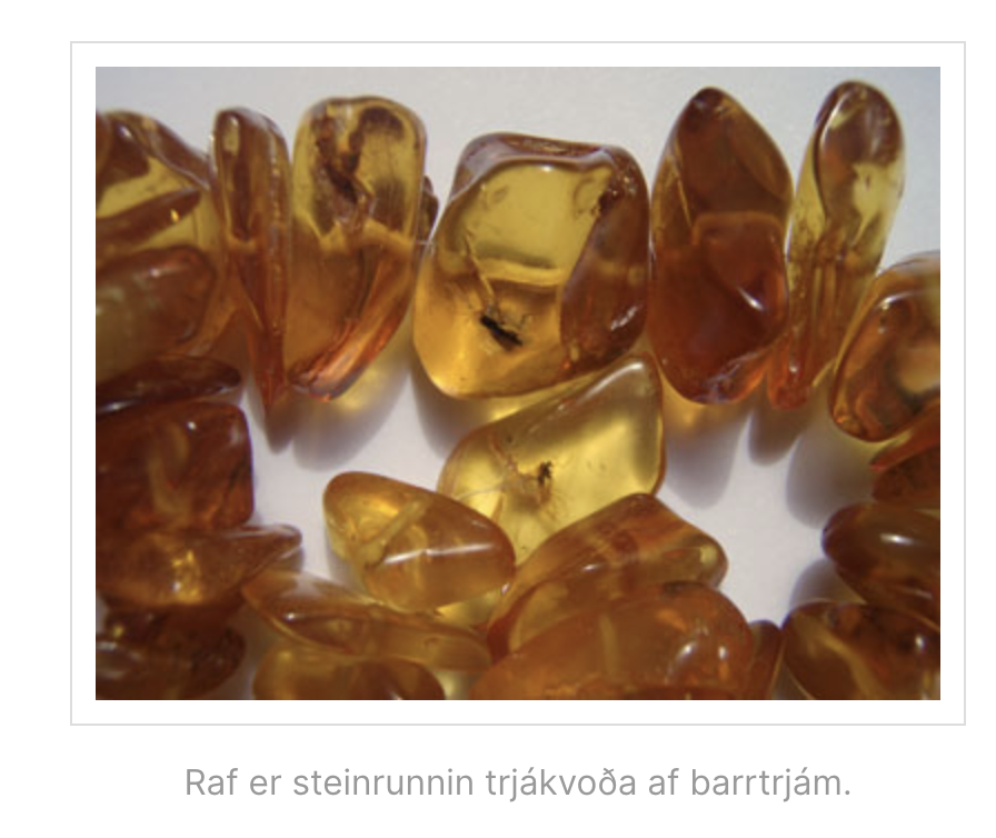 Þetta er ástæðan fyrir því að dómsmálaráðherra ætlar að kaupa Raf-varnarvopn...