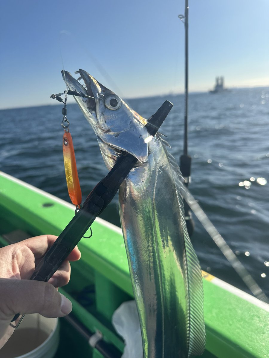 tatsu_blue_st's tweet image. タチ、タチ、青物で冬休みのリハビリ釣行終了。
2023年発売の新しいアイテム達もお楽しみに！
#BlueBlue
#FalltenTG
#Gachipenswimmer