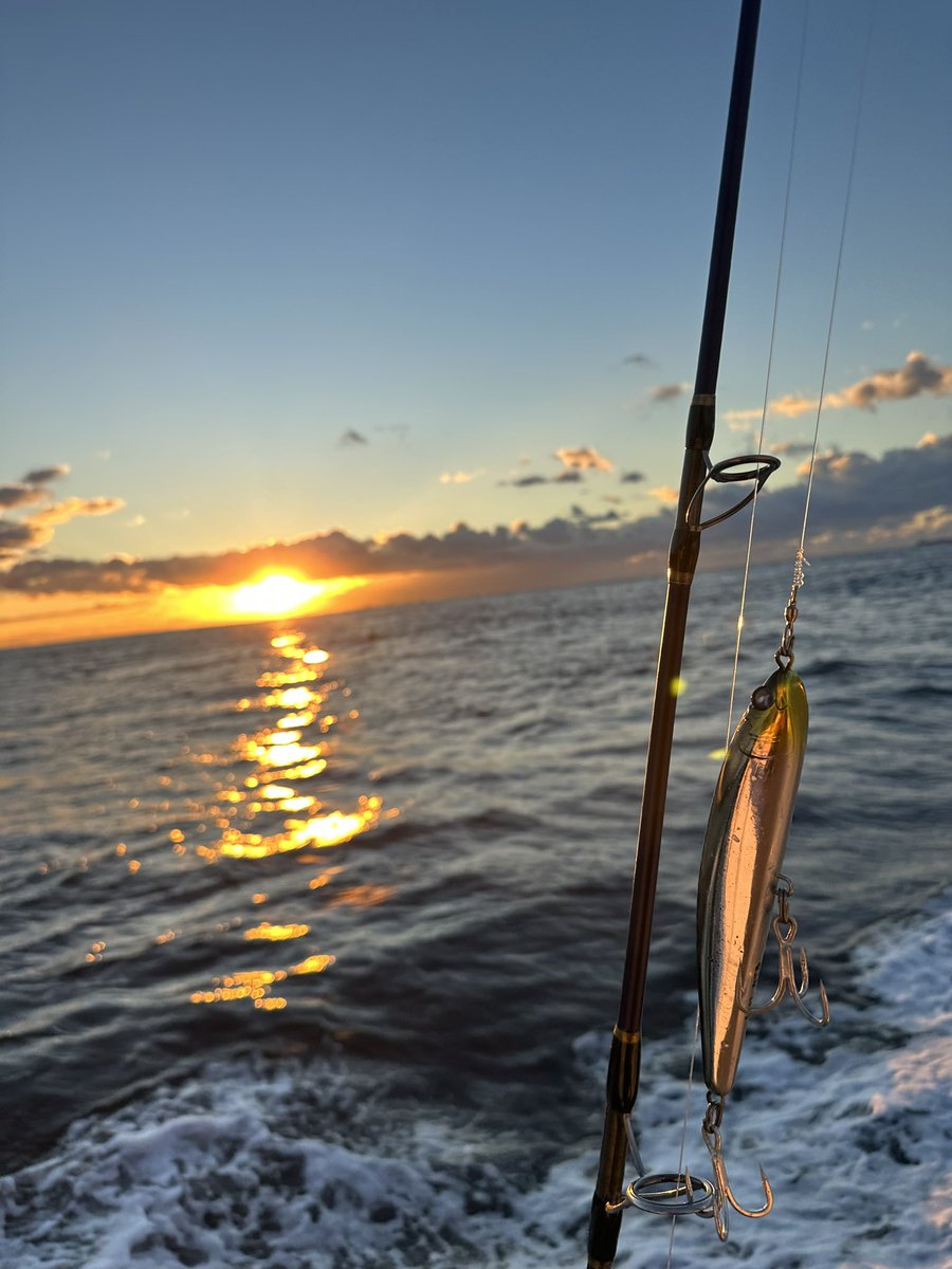 tatsu_blue_st's tweet image. タチ、タチ、青物で冬休みのリハビリ釣行終了。
2023年発売の新しいアイテム達もお楽しみに！
#BlueBlue
#FalltenTG
#Gachipenswimmer