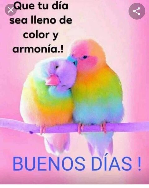 Feliz día #BoliviaHaceJusticia 

@blanca95038439 @diegopa24718081 @AdelaMe60241666 @PabloGu61982836 @JuanFal85994325 @OrdadVictor @cambar_adrian @yoelcoli6 @pelusat647 @luis16684716 @marielcis01 @MayraPri21 @Jonatha718 @karol_trompiz @luisapadri @akosibeaxoxx @YaritzaR4