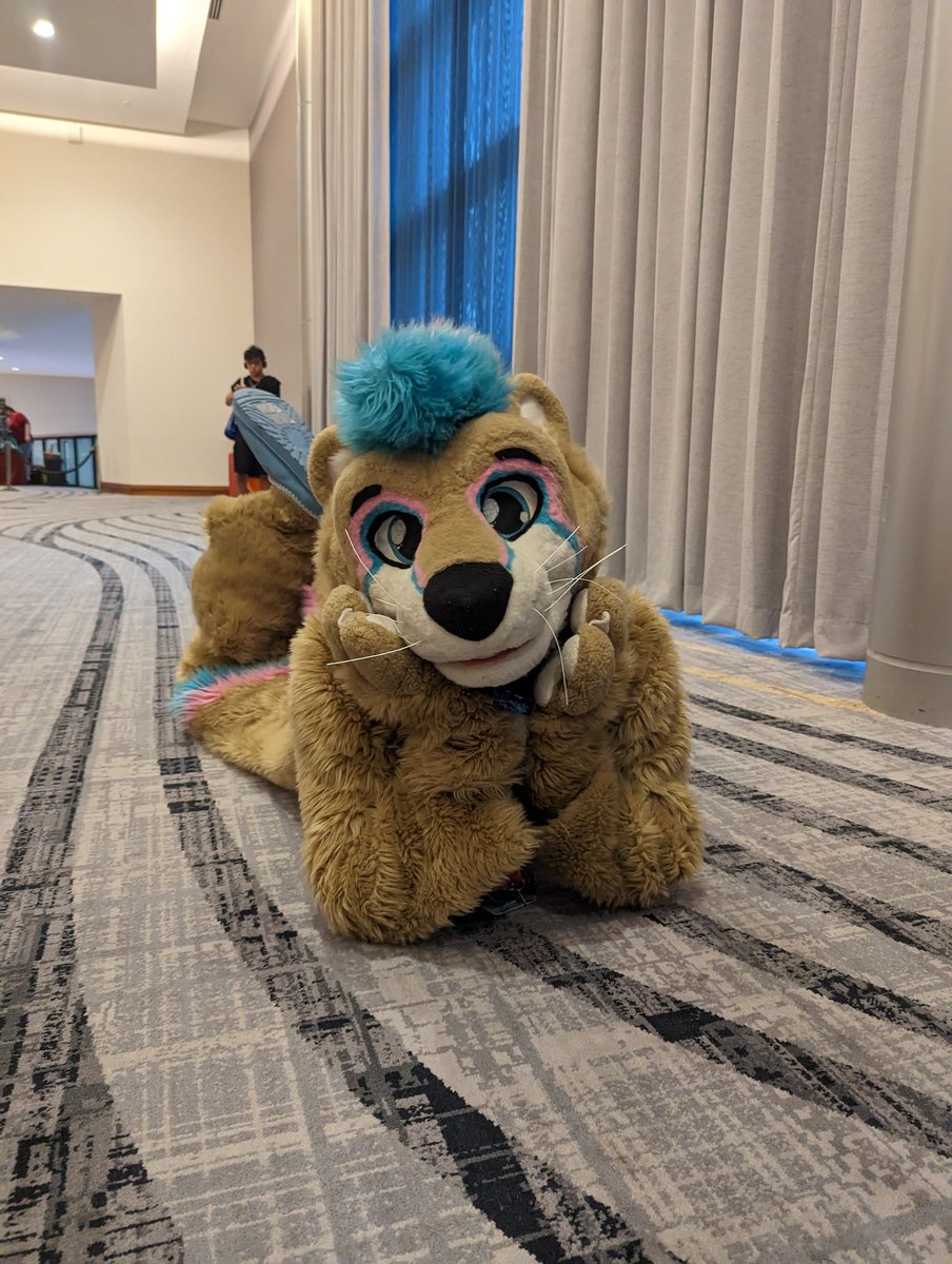 Griffonner_Wolf's tweet image. A very cute otter and a cameo of legs from a kitty.

Ft @MisuOtter and @LiminKitty 
#PDFC #PDFC2022 to #PDFC2023