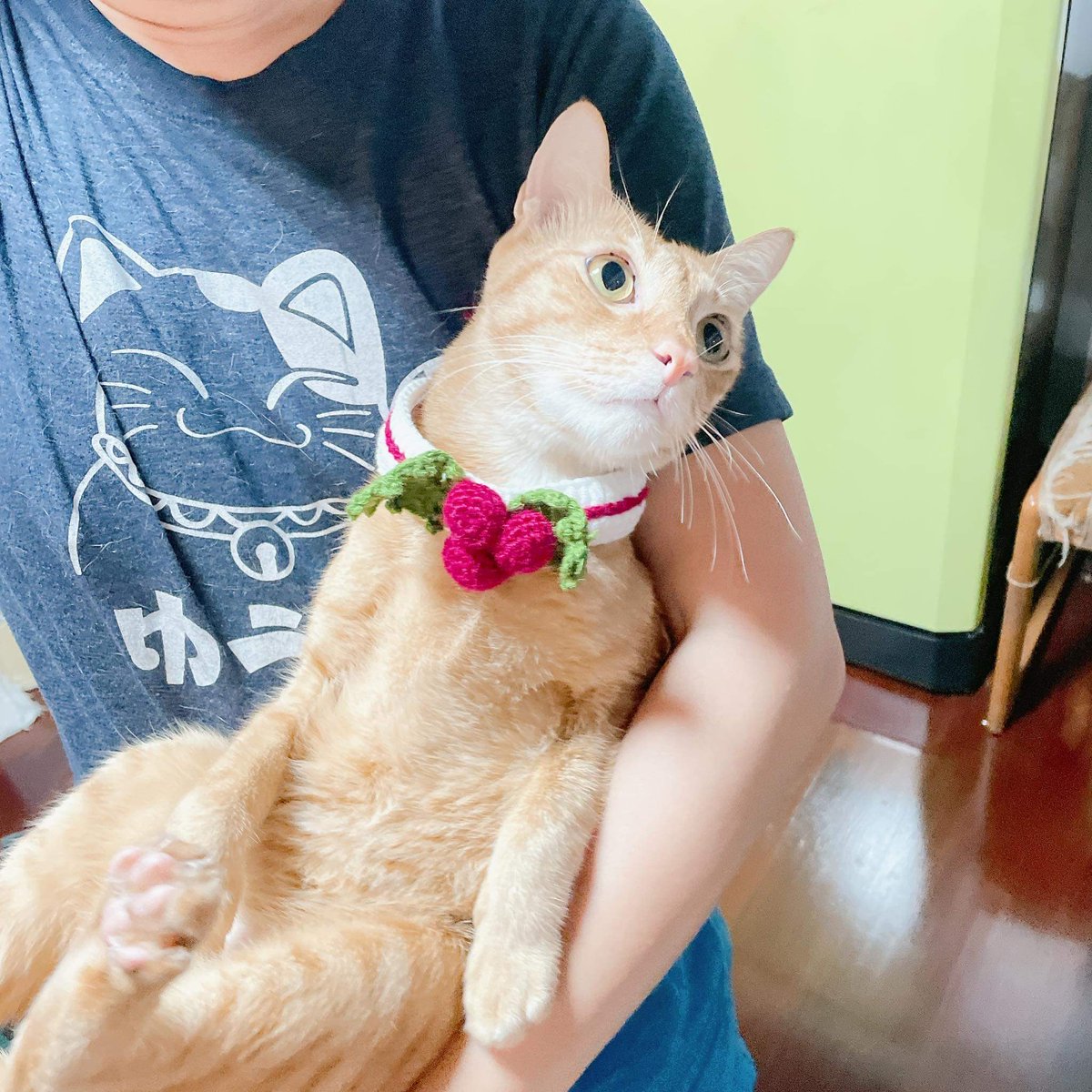 WaraCrochet's tweet photo. แชะสองจากกล้องเพื่อน https://t.co/MaPUtaL3Bu