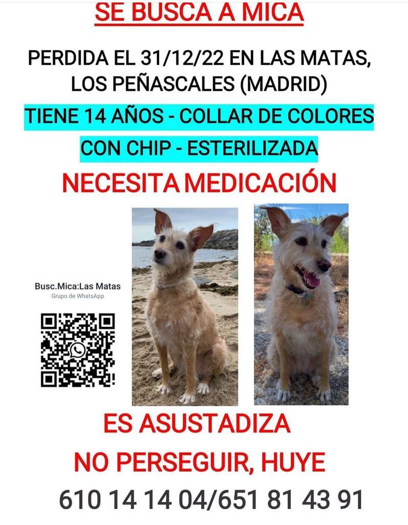 María del Rocío Góme tweet media