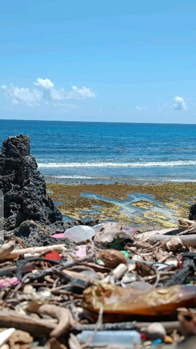 ACEFngo's tweet photo. The marine ecosystem is currently threatened by the alarming pollution rate in its environment. Pollution has a detrimental impact on our marine life forms, water, &amp; environment altogether. It's an urgent call for our collective efforts to ensure a litter-free marine ecosystem. https://t.co/KQqohtDZPk