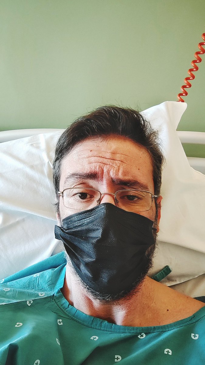 David Ramalho tweet media