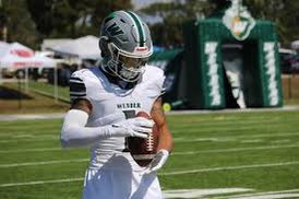 Brenden Hall tweet media