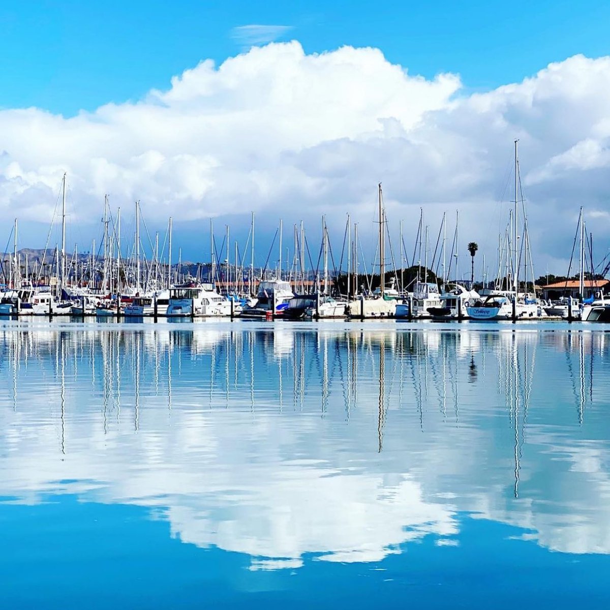 Visit Ventura tweet media