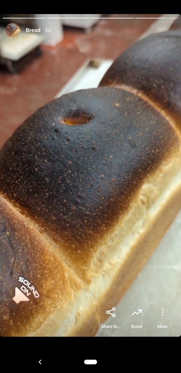MatildasBakery's tweet photo. #batchloaf #realbread makes the best sambos ,๐ https://t.co/T1jrdDOir8