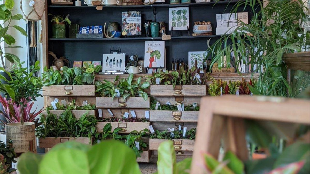 Visit Indy tweet media