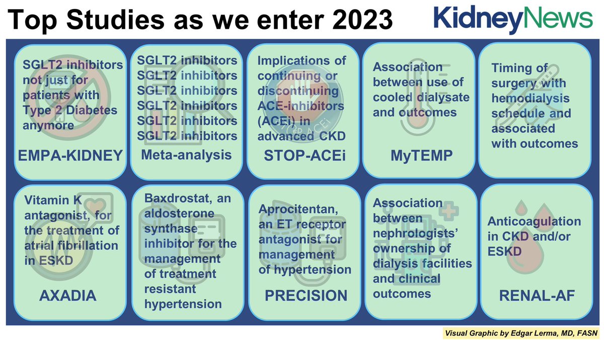 edgarvlermamd's tweet photo. Check out 👉 Top Nephrology Studies as we enter 2023 by @hswapnil and @kdjhaveri ‼️ 
⚡️Kidney Watch #Nephpearls 

📌 Published in the January 2023 issue of @KidneyNews
 
👉🏼 https://t.co/ToWfF3rkd9 https://t.co/bSRbLhEMZL