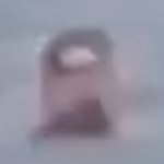 ✞ 亗 Ƭɨλɢօ ₿ 🟠🇵🇹🔺⭕ tweet media