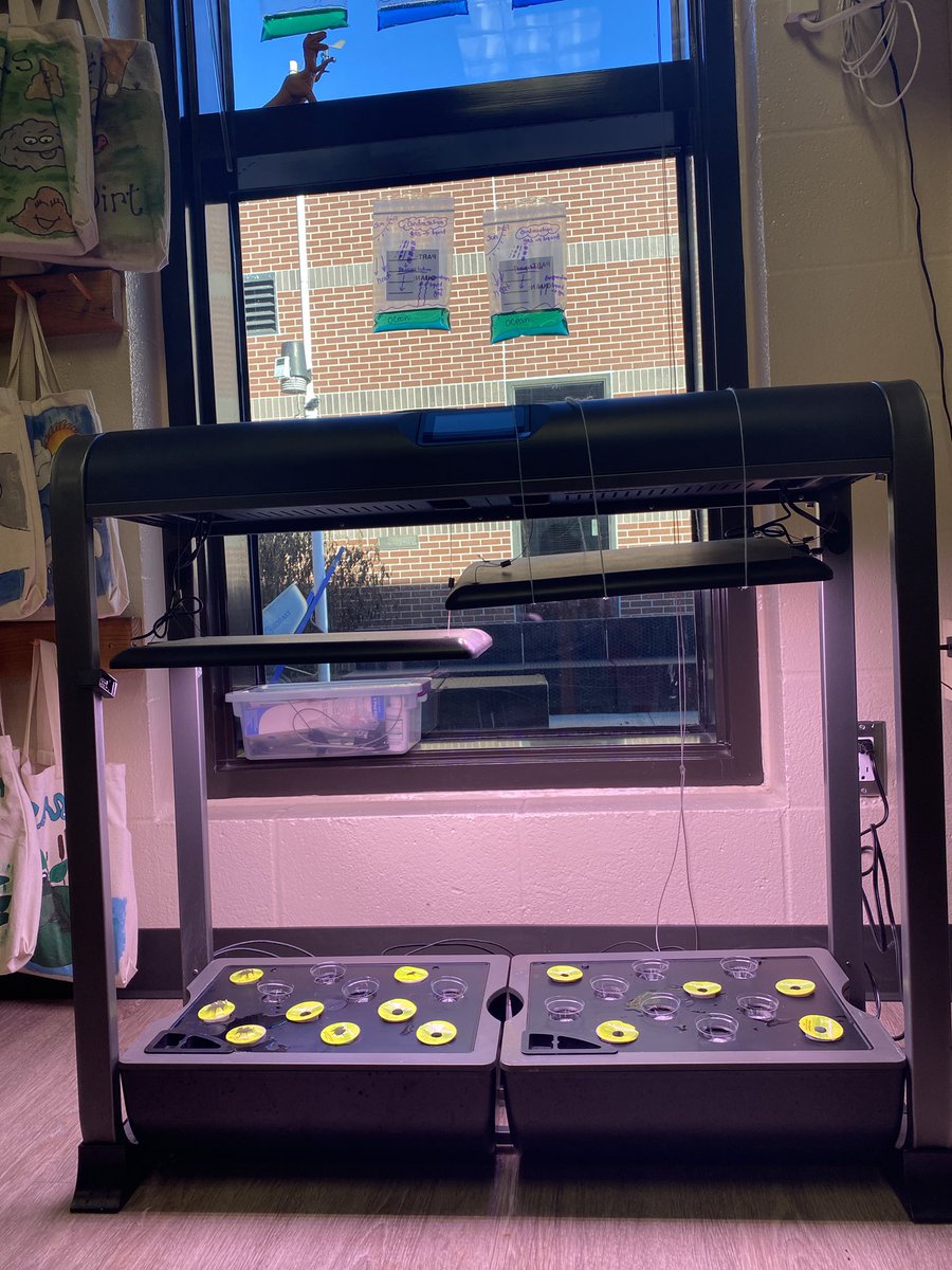 Cristina Ford tweet media