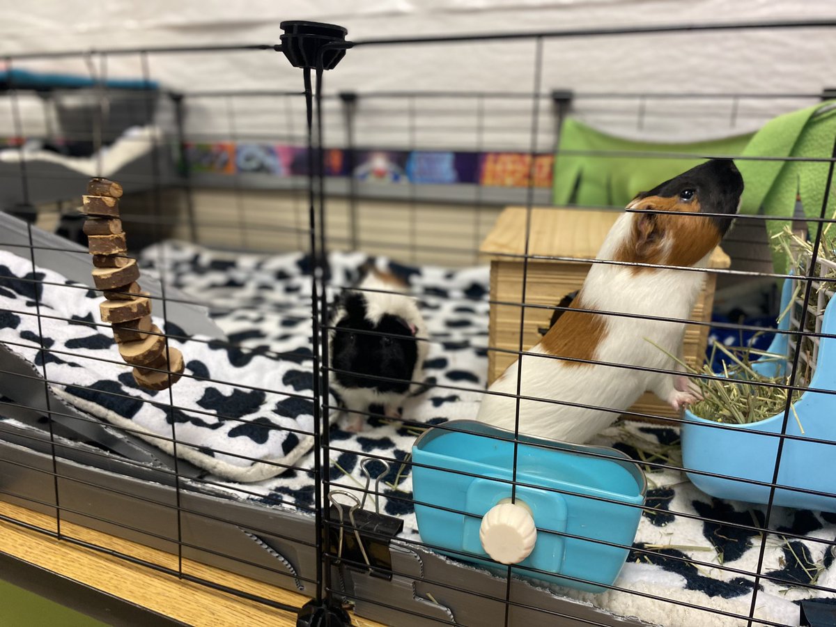 Cristina Ford tweet media