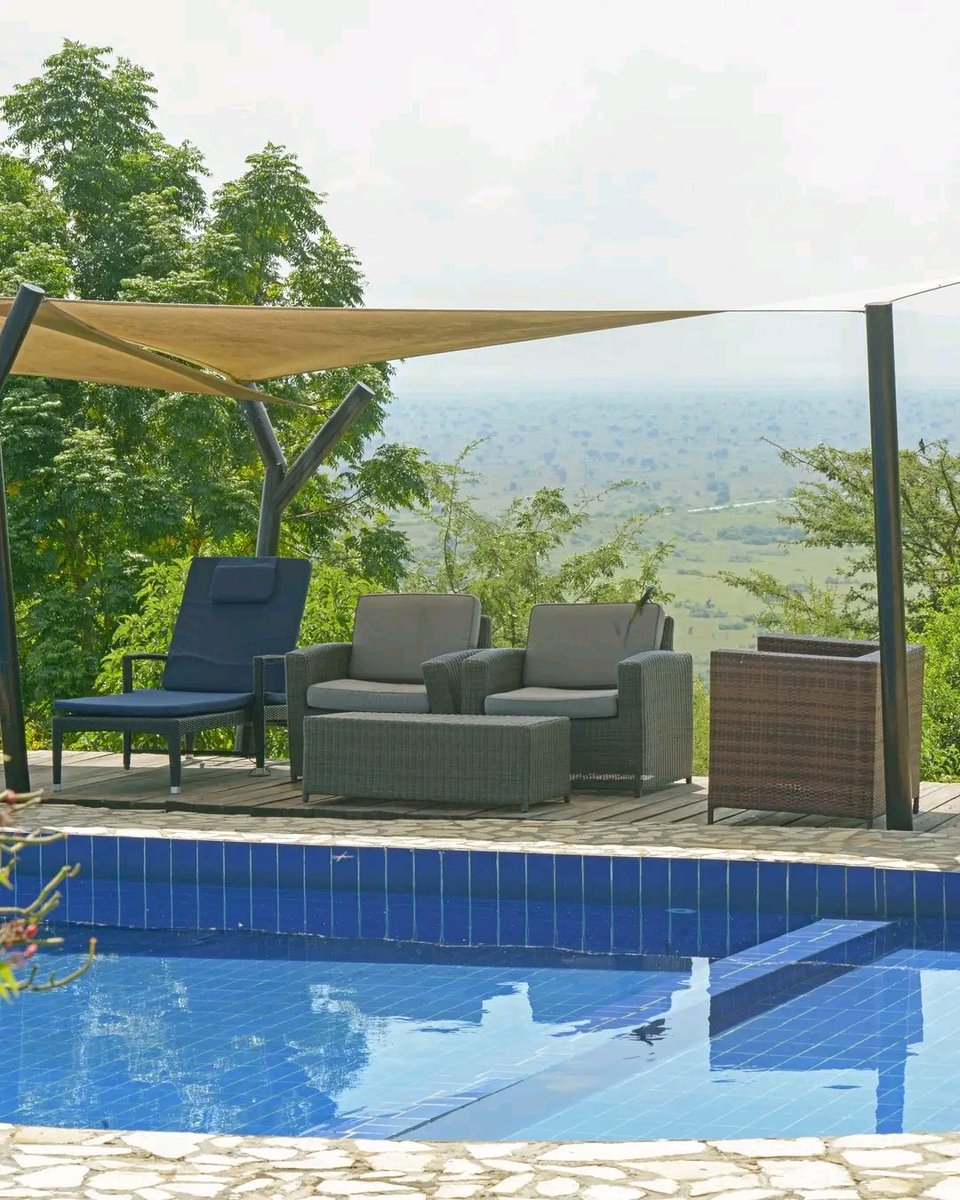rwotoriba's tweet photo. On a sunny afternoon, #relax and #unwind in the #swimmingpool at Elephant Plains Lodge - QENP as you enjoy the #beautiful #scenery of the area.
#relaxationtips
#unwind
#AbsoluteComfort
Reserve your stay today
Email: info@ugandalodges.com
Contact: 0772 426 368 https://t.co/WYqgCCl66H
