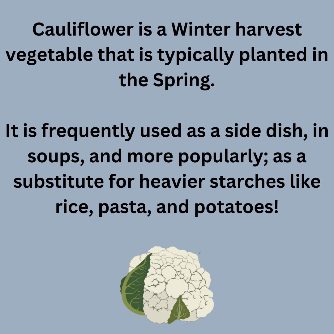 Kcc_Cfg's tweet image. Happy New Year!
We are introducing a new weekly segment featuring a seasonal crop and an easy recipe to help introduce healthy vegetables to your plates!
#CUNY #KBCC #URBANFARMING #RESOLUTIONS #HEALTHY #RECIPES #GROWYOUROWNFOOD