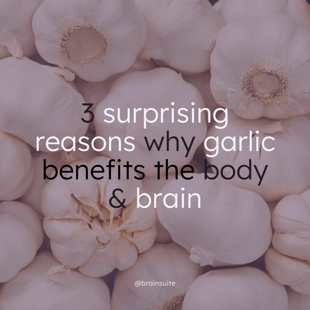 BrainSuite tweet media