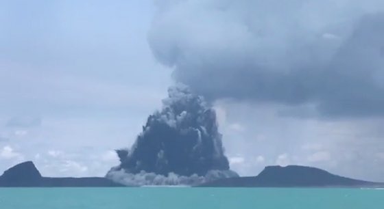 Aopanda Tonga Party 公式 tweet media