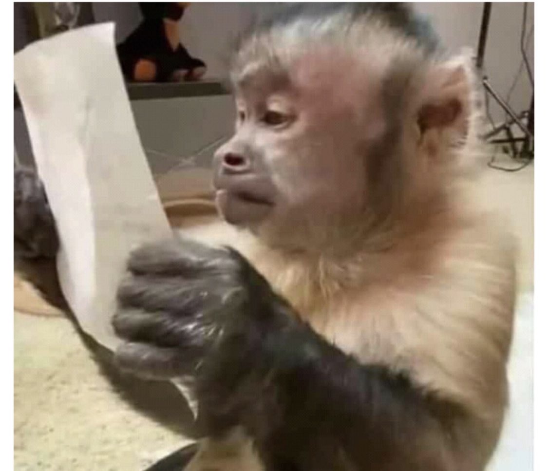 ElGallinazo's tweet photo. Mi Jefe: Bienvenidos de vuelta y vamos a darlo todo en este 2023. 

Yo viendo cuántos días libres tengo este año: https://t.co/uE0pCygrxK