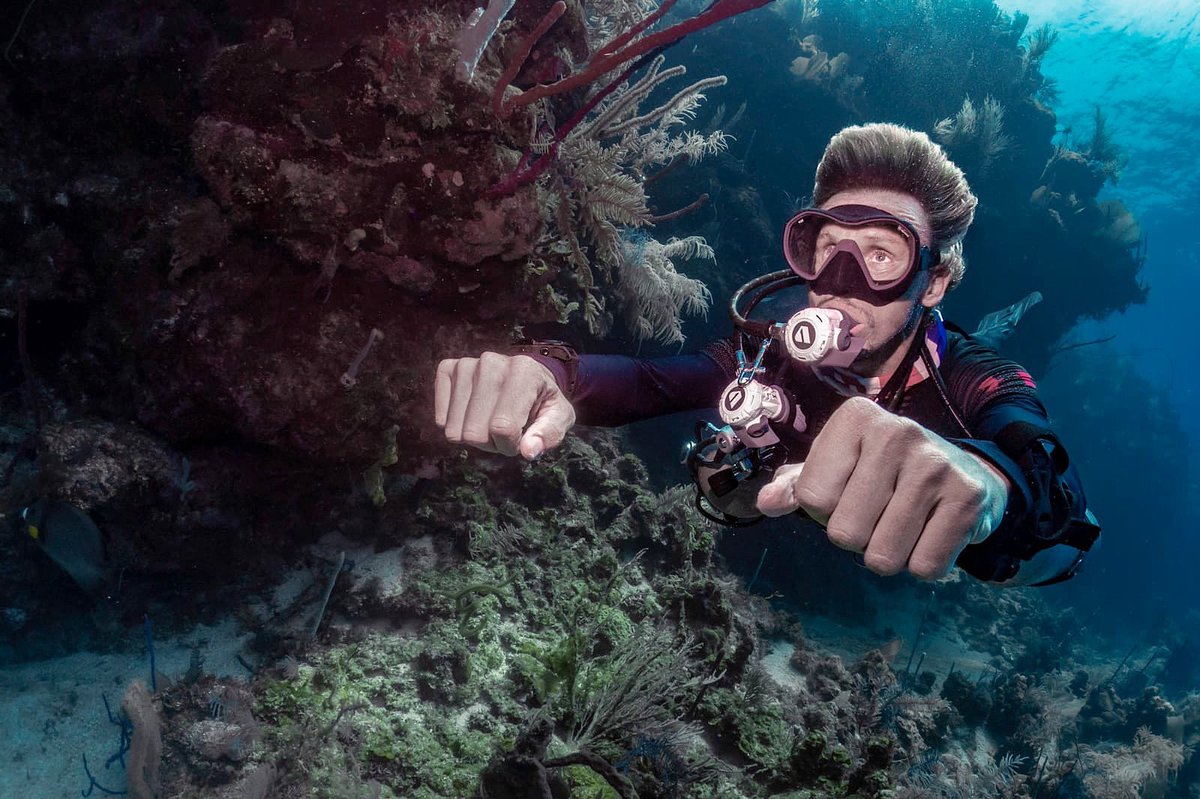 stephenjaynsley's tweet photo. Looking forward to more Sidemount diving soon. The fact it's difficult to even see the cylinders in this photo is evidence that I'm doing it right 💪🏽
#sidemount #sidemountdiving #xdeep
#padi #scuba #scubadiving #underwaterworld #divingtrip #scubadiver #scubalife @PADI @PADITecRec https://t.co/KqiMMFBriQ