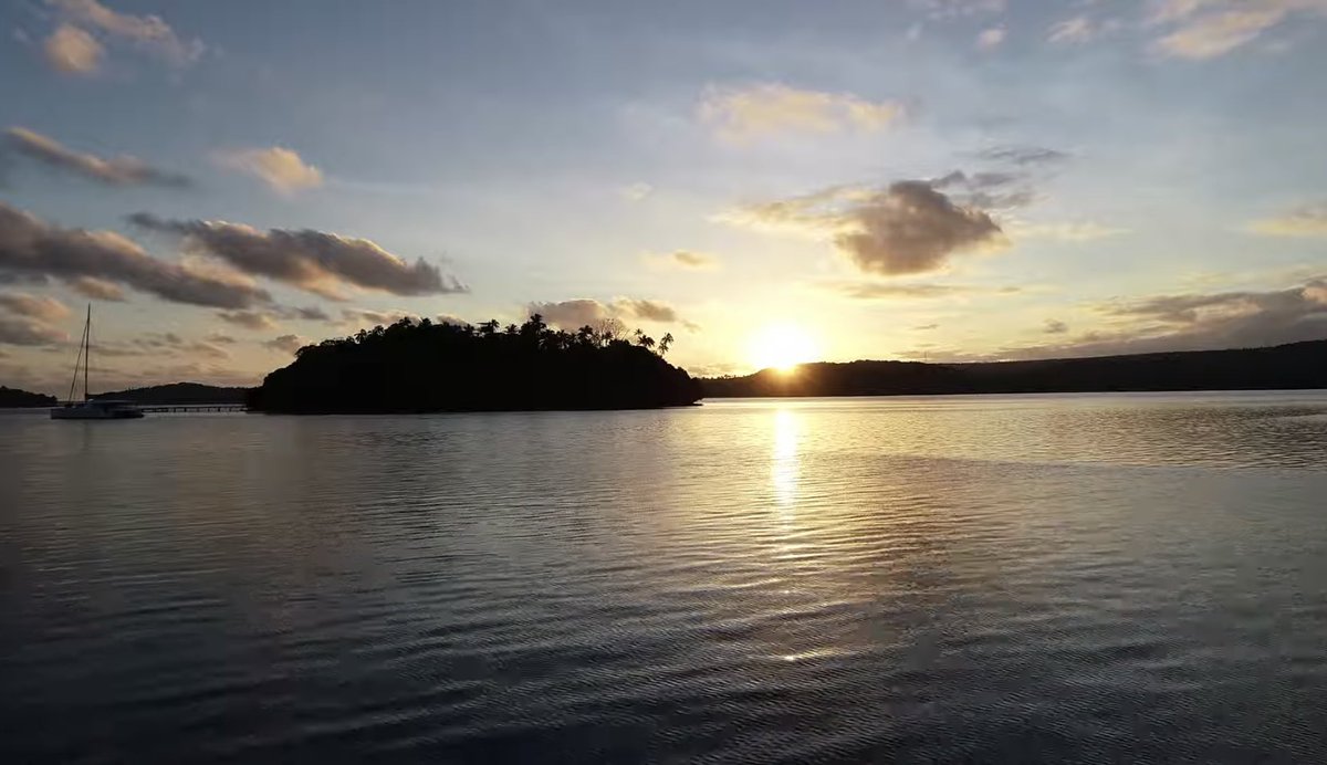 Aopanda Tonga Party 公式 tweet media