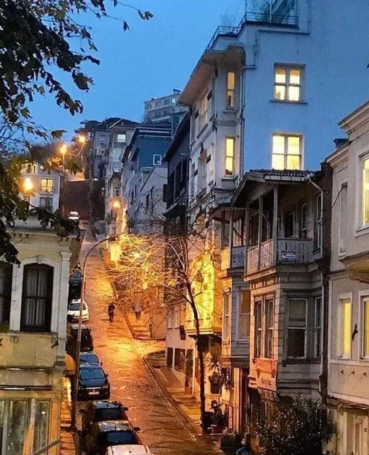 Servet53661335's tweet photo. "One should have a big heart, not a wallet..."
#FaridFarjad
#Goodeveningworld🌏🙋♂️🌙#Tothenight🌳🏘️🌲
#Inpeace🐕🦺🏡🐈 #Notoviolence⛔🙏🥰#Notochildabuse⛔#Protectstrayanimals🦮🐱 https://t.co/7mYj0ORehZ