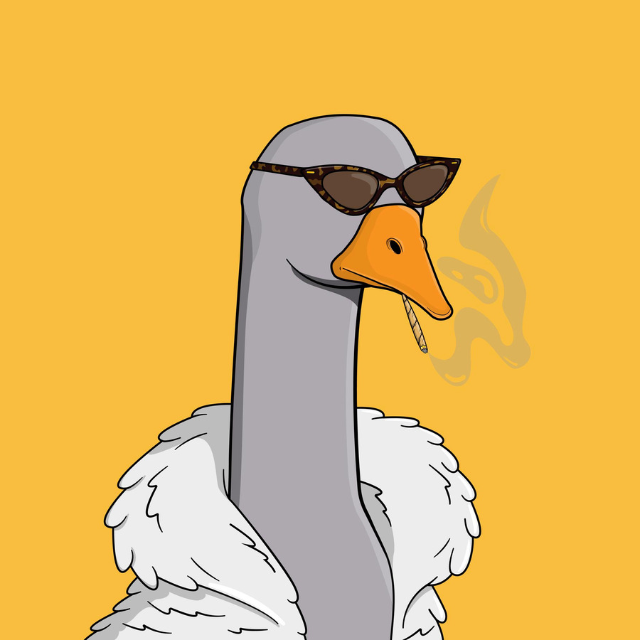 mr_gootcci's tweet photo. @JZYeyo @CrazyGooseFlock Dope pimp 🫡 https://t.co/4IsH29cKQQ