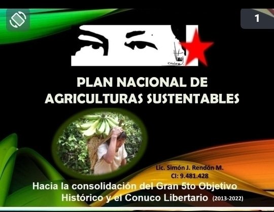 Prof. Simón Rendón Explica la Importancia para la Patria del Plan Nacional de Agriculturas Sustentables. La Agroecología como Trinchera de Emancipación y Dignidad Alimentaria del Pueblo Originario Por una Alimentación Libre de Transgénicos y Agrotóxicos #BoliviaHaceJusticia