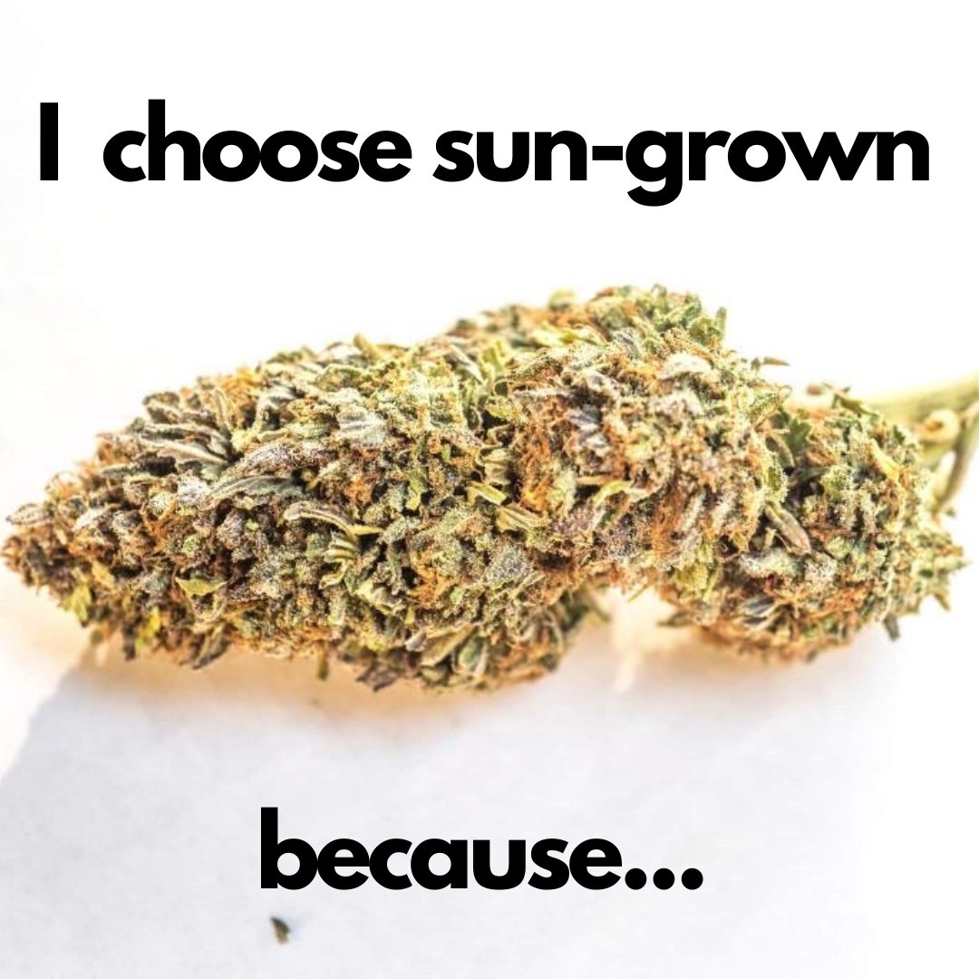 SunAndEarthCert's tweet photo. It’s a new year, &amp; more people are making the switch to regenerative organic, sun-grown cannabis! It’s better for the people, &amp; the planet. Let us know why you chose sun-grown! 

What advice would you give someone who wants to learn more about the benefits of regenerative ag? https://t.co/4YgSMg1l8Y