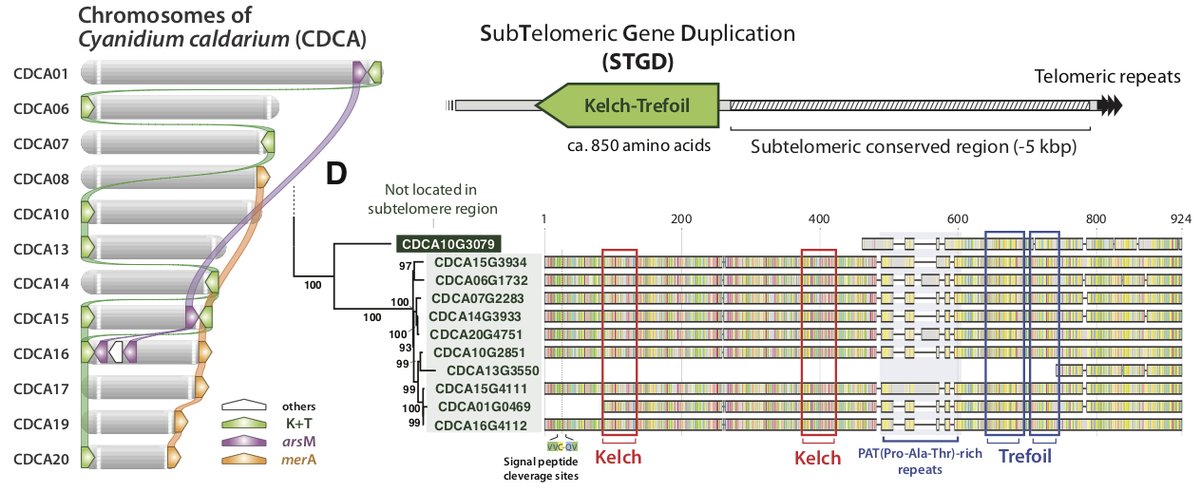 Debashish Bhattacharya tweet media