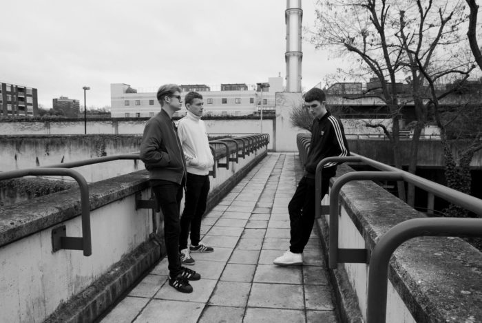 Evolution 77 tweet media