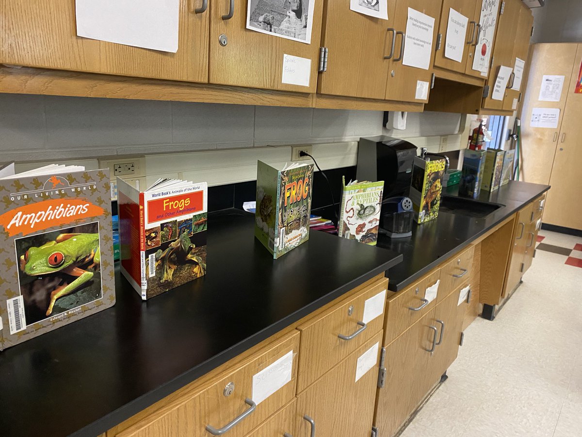 rodriguez_sci's tweet photo. Our librarian who does it all! Thank you to @ZachryLibrary Mrs. Key for helping 7th grade science with the frog dissection. @NISDZachry @NISDZachryCyber @NISDMSScience #nisdmssciencecoach https://t.co/atqaeWgbCo