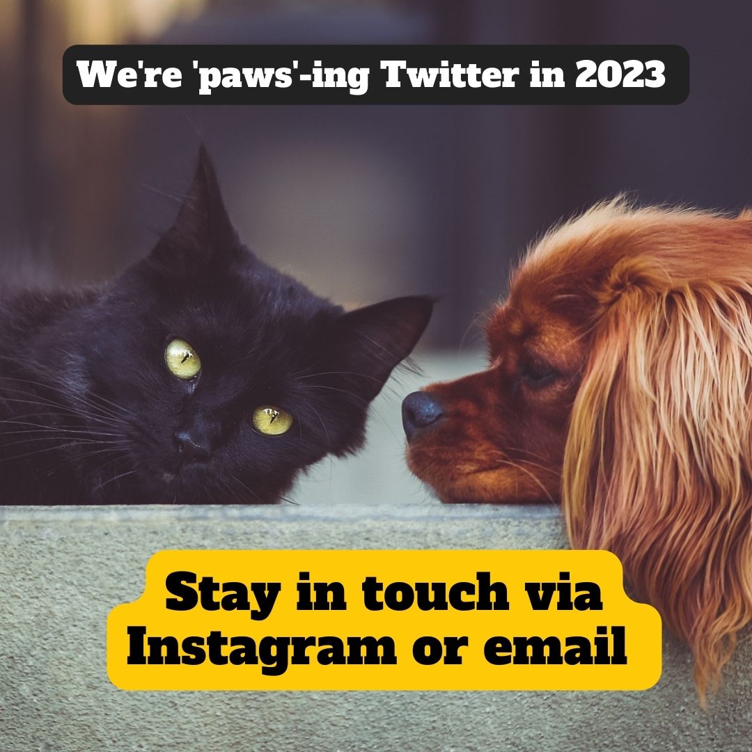 💚 Important message! 💚

As we begin 2023, we're 'paws'-ing our Twitter profile for a while. You can stay in touch with updates from Climate Pets on Instagram (<a href="/ClimatePets/">Climate Pets</a>) or by signing up to our newsletter: landing.mailerlite.com/webforms/landi…

See you around!