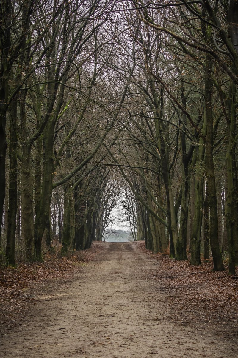 Caroline Pleysier📷 tweet media