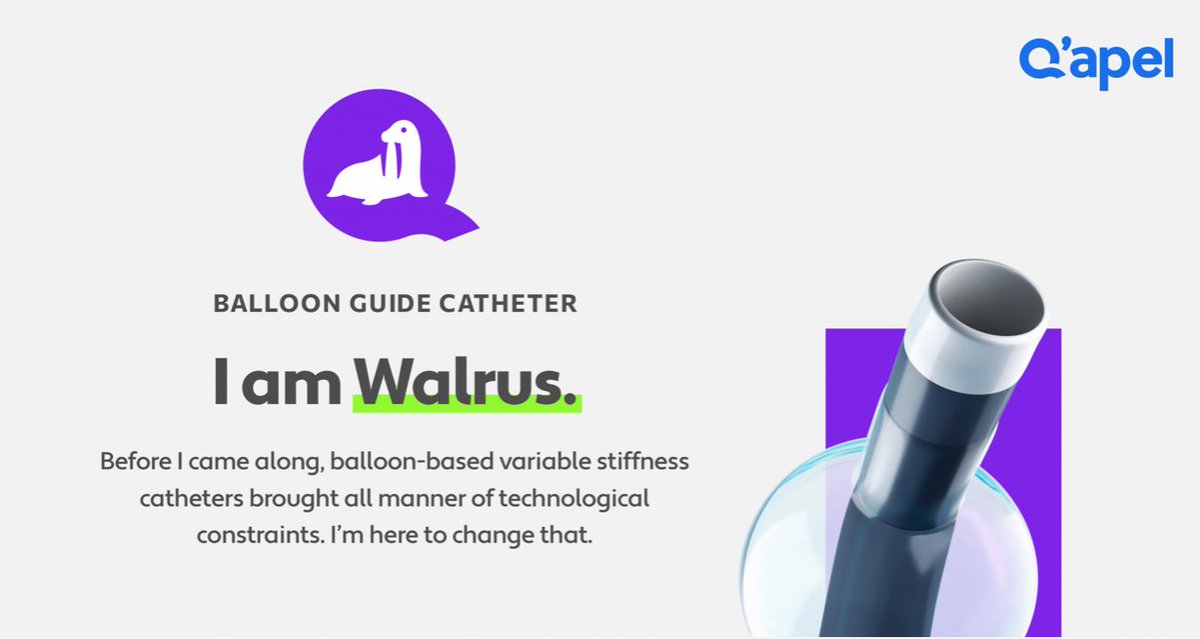 q_apel's tweet photo. I AM WALRUS! 

#Walrus #WalrusBGC #WalrusBalloonGuideCatheter #FlowControl #Trackability #Support #StrokeTreatment #NeuroIntervention #QAPEL https://t.co/QgKnXtgKO2