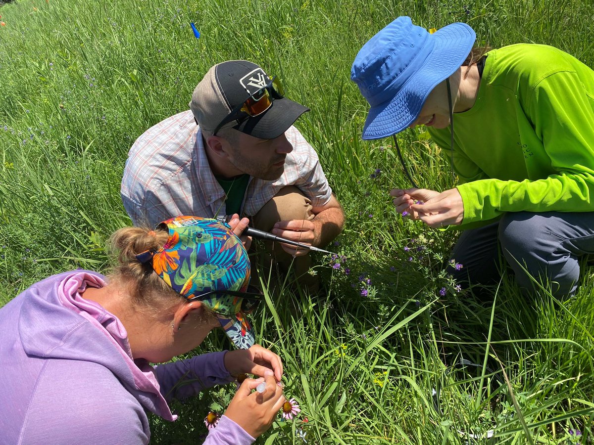 Echinacea Project (@teamechinacea) on Twitter photo Attention K-12 teachers: Join <a href="/TeamEchinacea/">Echinacea Project</a> in MN prairie this summer! We will soon begin reviewing applications for the <a href="/NSF/">U.S. National Science Foundation</a> Research Experiences for Teachers (RET) program. Apply here: echinaceaproject.org/opportunities/… @sacnas <a href="/BlackInEnviron/">Black In Environment</a> <a href="/MNAcadSci/">Minnesota Academy of Science</a> <a href="/NSTA/">National Science Teaching Association</a> <a href="/TheNAAEE/">NAAEE 🎓🌎</a> <a href="/GreenTeacherMag/">Green Teacher</a> Attention K-12 teachers: Join <a href="/TeamEchinacea/">Echinacea Project</a> in MN prairie this summer! We will soon begin reviewing applications for the <a href="/NSF/">U.S. National Science Foundation</a> Research Experiences for Teachers (RET) program. Apply here: echinaceaproject.org/opportunities/… @sacnas <a href="/BlackInEnviron/">Black In Environment</a> <a href="/MNAcadSci/">Minnesota Academy of Science</a> <a href="/NSTA/">National Science Teaching Association</a> <a href="/TheNAAEE/">NAAEE 🎓🌎</a> <a href="/GreenTeacherMag/">Green Teacher</a>