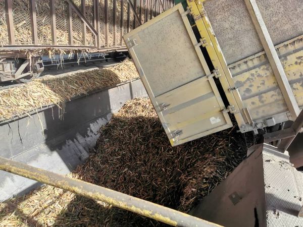 ctc_matanzas's tweet photo. #CTCProvincialMatanzas adopta medidas para movilizar a los trabajadores en el cumplimiento de una zafra exitosa. Los movimientos productivos son fundamentales. #CubaViveYTrabaja @UlisesGuilarte https://t.co/yK8FZ5kutb