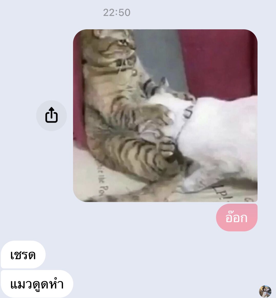 คือ5566647459386364)5!5฿55