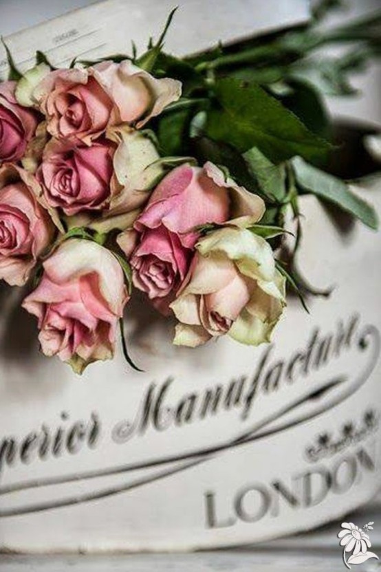 2023년에는 행복했으면 좋겠다
새해 복 많이 받으시길🐰