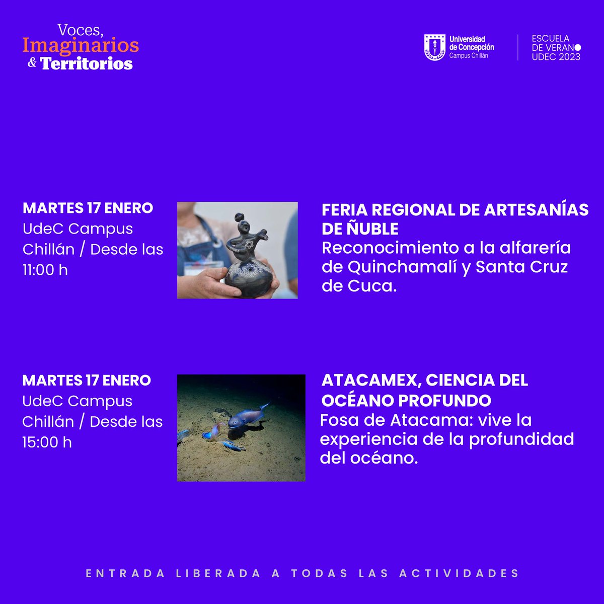 CECAL UdeC tweet media
