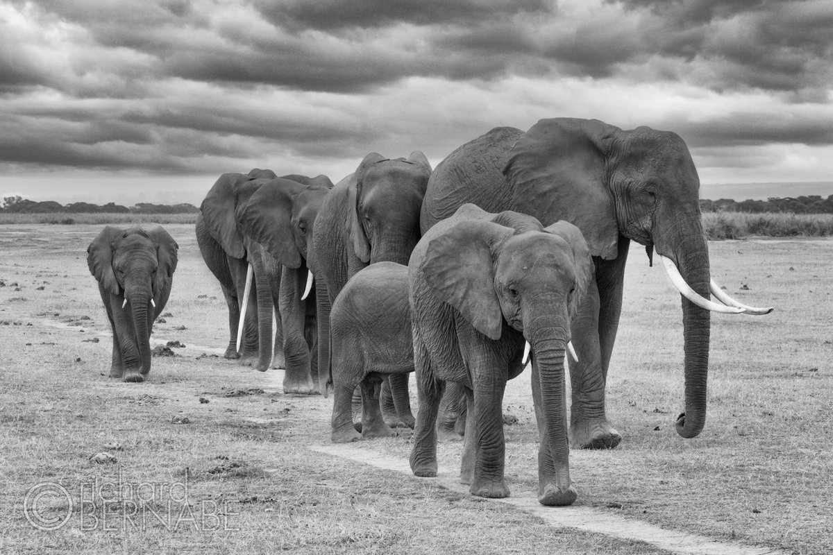 Richard Bernabe tweet media