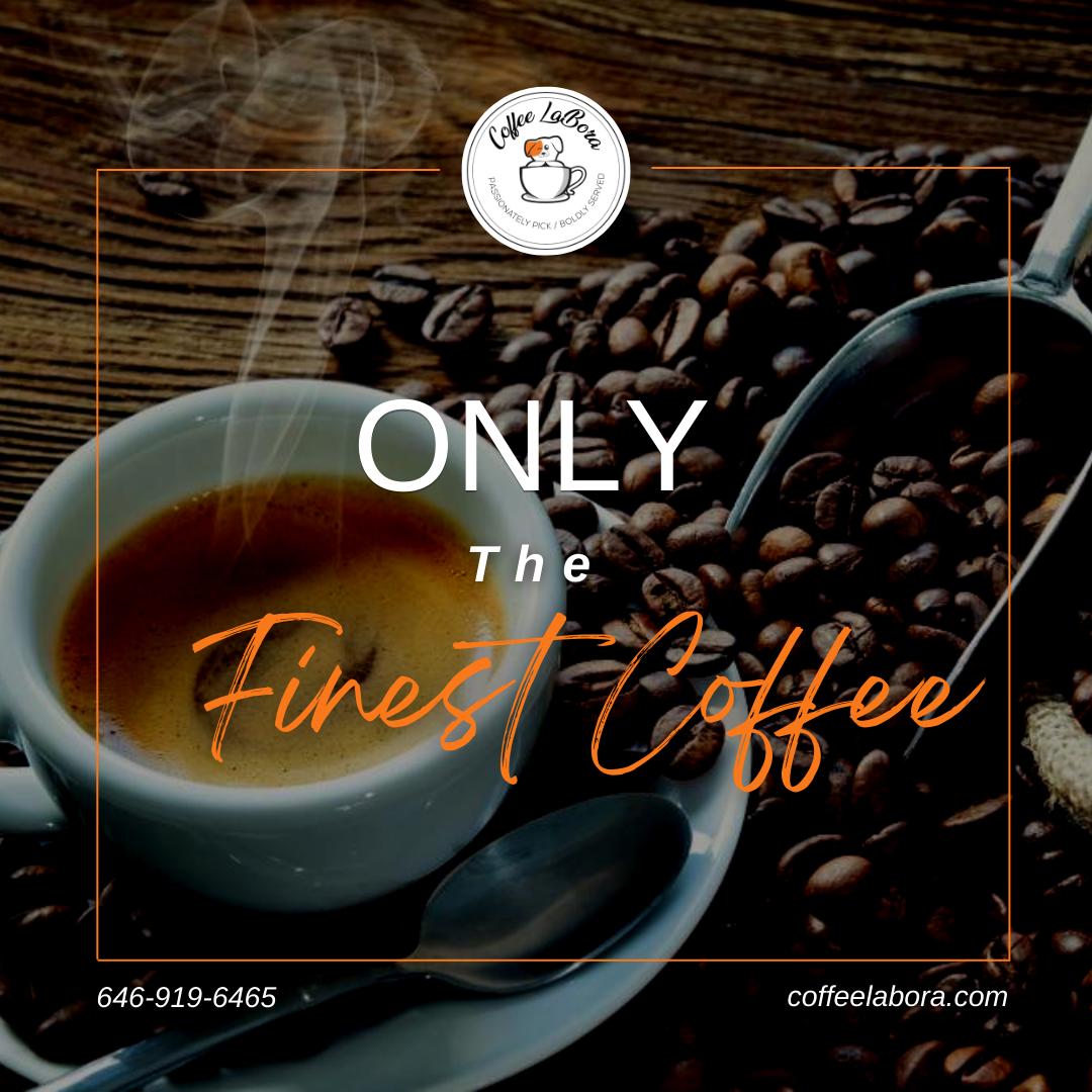 CoffeeLabora's tweet photo. 🤤 Our beans are roasted to perfection so they can be brewed into a cup of pure bliss. Don't believe us? Go ahead and try some! 

🌐 https://t.co/tLqwYrUb5r
📞 646-919-6465

#coffeelabora #coffee #love #coffeeislife #coffeeart https://t.co/2LEfbma4QU