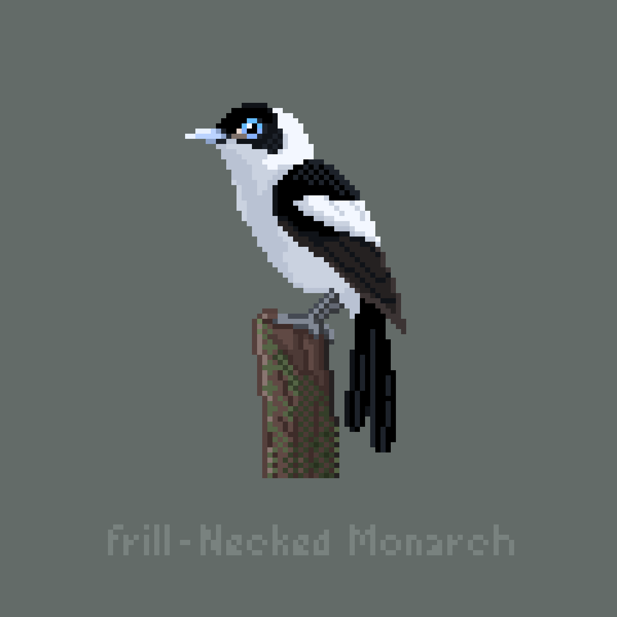 manytle's tweet photo. My Challenge of Jan 2023
#Birdfest2023 #birdfest
Day 1 Frill-Necked Monarch
Day 2 Hyacinth Macaw
Good Night to you. 😺💤😴🌜
#manytlebirdfest #pixelart #pixel https://t.co/bXyVbymtkx