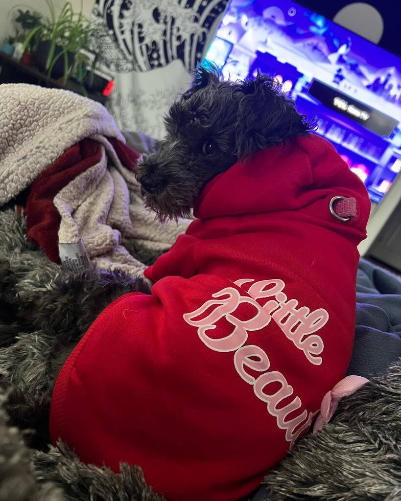 twizzlerific's tweet photo. My little beauty! https://t.co/cJRPt3ejqg
