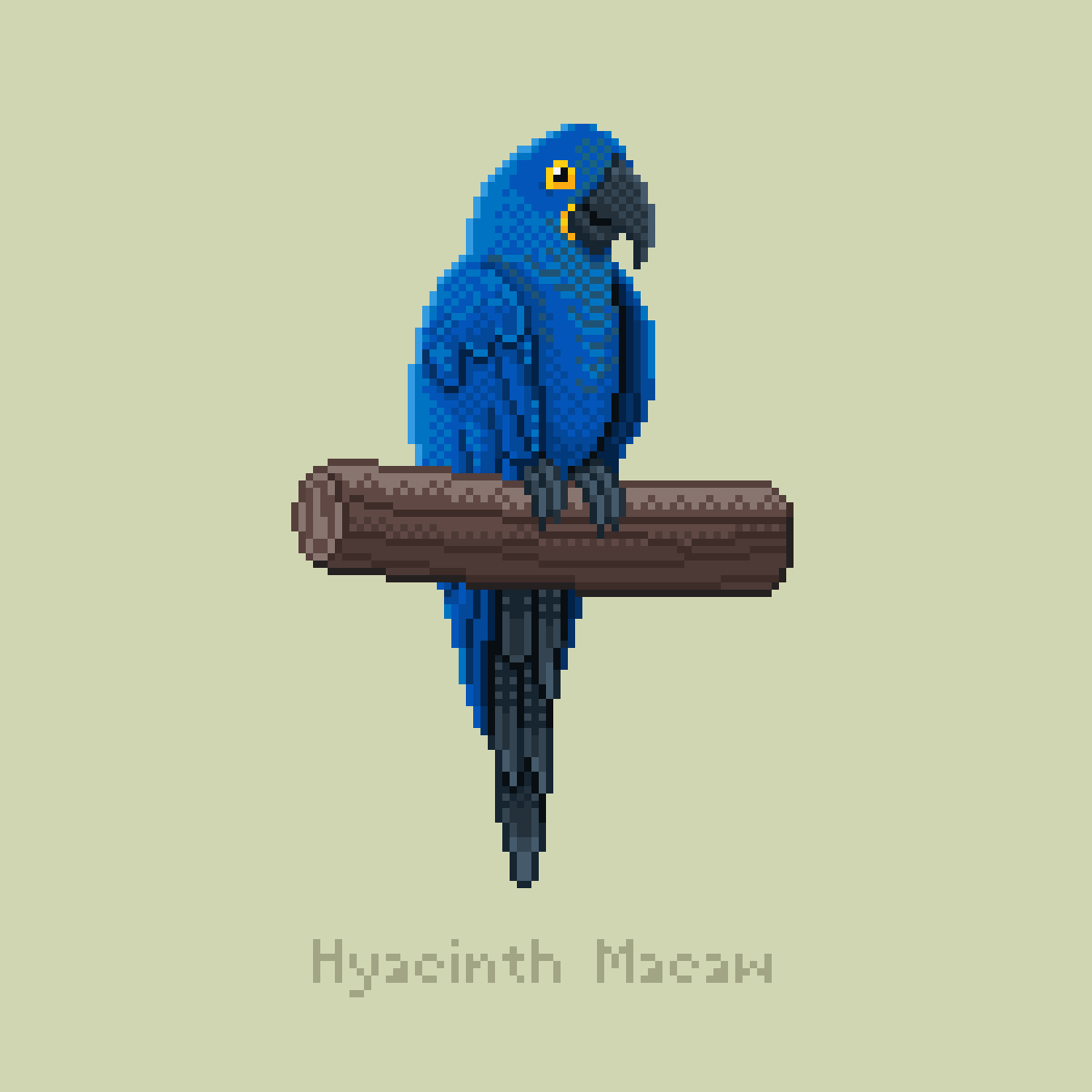 manytle's tweet photo. My Challenge of Jan 2023
#Birdfest2023 #birdfest
Day 1 Frill-Necked Monarch
Day 2 Hyacinth Macaw
Good Night to you. 😺💤😴🌜
#manytlebirdfest #pixelart #pixel https://t.co/bXyVbymtkx