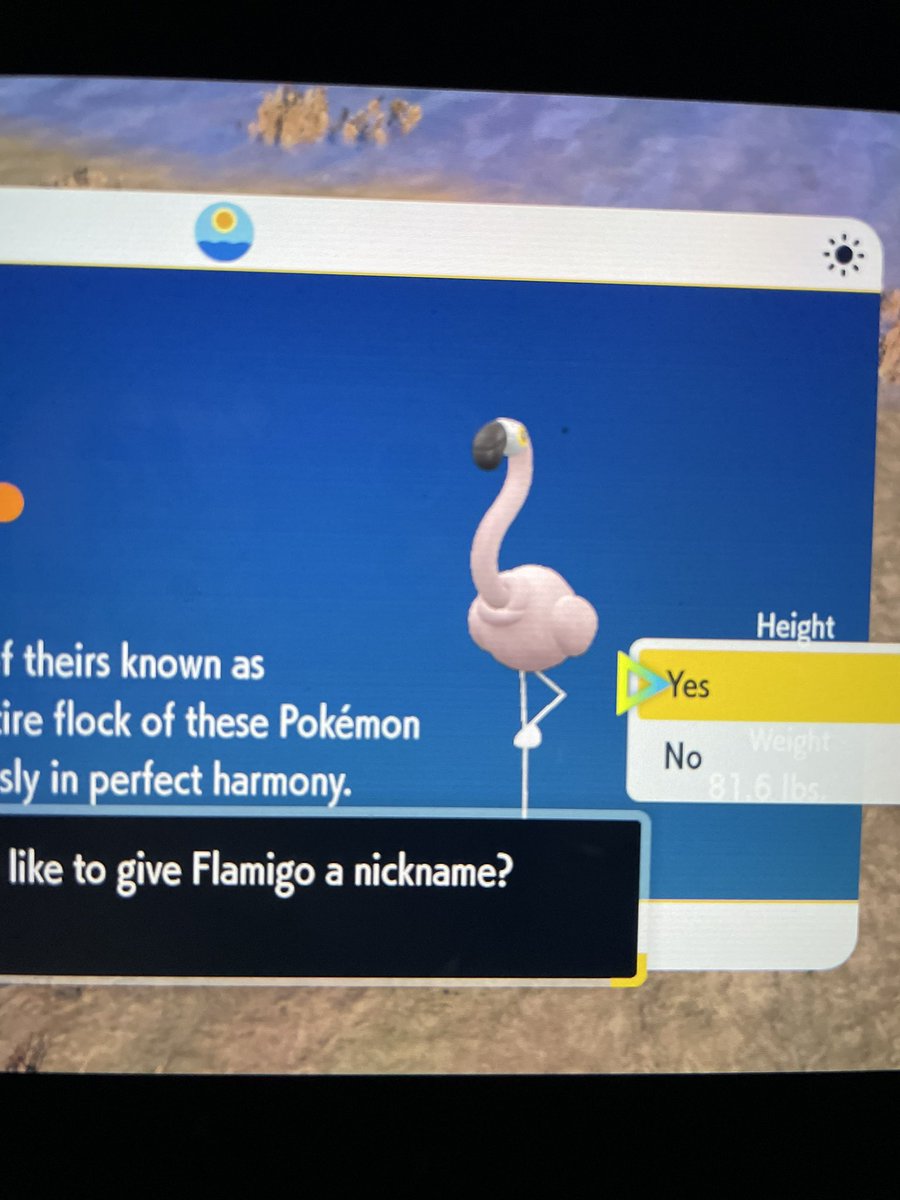 Another shiny in the books! 💜 
#fullodds #randomshiny #pokemon #violet