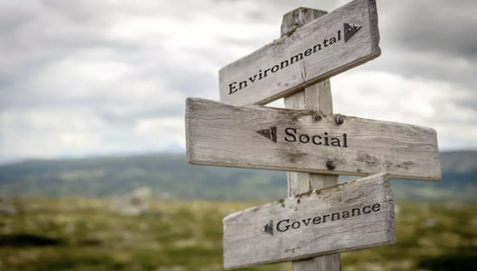 givingforce's tweet photo. From nature restoration to social equity: 7 top ESG trends to look out for in 2023 from @edie.

https://t.co/Jf0bXuveyK https://t.co/ZhosnGB4v3