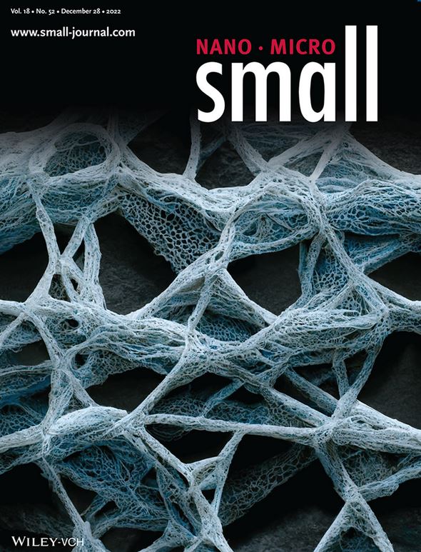 This cover displays highly porous aramid nanofibers used to improve Li-ion battery performance.

These fibers possess dual porosity and an affinity for anions, which helps them reduce dendrite formation and stabilize cycling performance.

Read the paper: ow.ly/SPKc50Mi0lj
